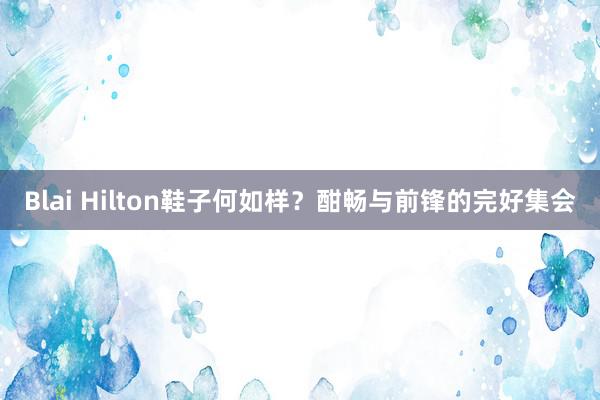 Blai Hilton鞋子何如样？酣畅与前锋的完好集会