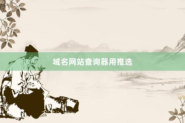 域名网站查询器用推选